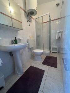 皮内兹齐Pinezići apartman Niccole的一间带水槽、卫生间和淋浴的浴室