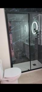 奇克拉纳－德拉弗龙特拉Real de la Barrosa的浴室设有白色卫生间和玻璃墙