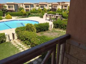 Al Ḩammām4 bedroom Villa with private terrace, pool, and garden的享有庭院和游泳池景致的阳台