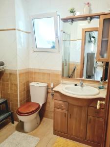 阿利坎特Casa en Punta Prima的一间带卫生间和水槽的浴室