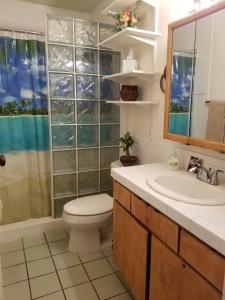 基黑Maui Diver's Dream at Kihei Bay Surf的浴室配有卫生间、盥洗盆和淋浴。