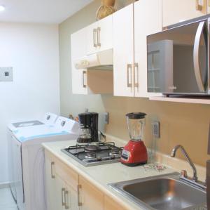乌鲁阿潘San Juan Apartament的厨房配有搅拌机,位于水槽旁