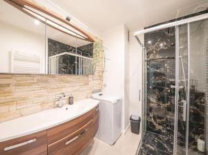 维也纳Spacious luxury Apartment的带淋浴、盥洗盆和卫生间的浴室