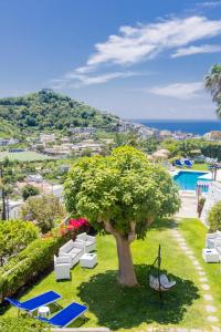 伊斯基亚拉卢纳酒店的享有树木和椅子以及游泳池的景致。