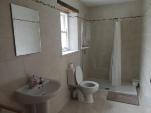 卡洛Lovely 3-Bed House at Clashganny Mill Borris的浴室配有卫生间、盥洗盆和淋浴。