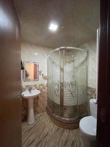 库塔伊西卢克斯宫殿酒店的带淋浴、卫生间和盥洗盆的浴室