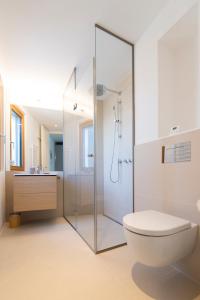滨湖新锡德尔Seehaus SeeZeit - Am Hafen的一间带玻璃淋浴和卫生间的浴室
