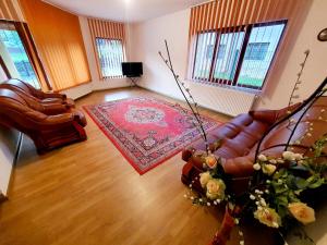 鲁克尔Pensiunea Geta的客厅配有真皮沙发和红色地毯。