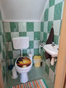 PrzerwankiDom Na Mazurach的一间带卫生间和水槽的小浴室