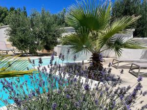 沃迪切Apartments and Rooms Mateša的种有紫色花卉和棕榈树的花园以及游泳池