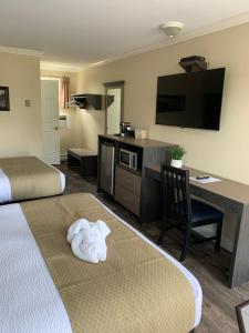 萨默赛德Cairns Motel的酒店客房设有两张床、一张桌子和一台电视。