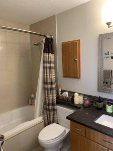 舍伍德帕克Dragonfly Inn Loft & Walkout Suites的浴室配有卫生间、盥洗盆和淋浴。