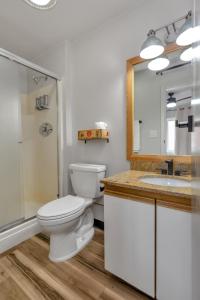 安克雷奇Highliner Hotel - King Rooms with City & Park Views的一间带卫生间、水槽和镜子的浴室