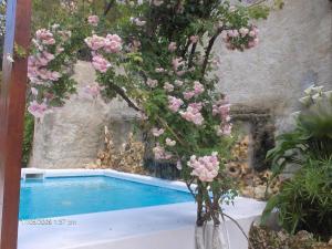 克卢什维拉利巴尼亚公寓式旅馆的游泳池旁一个满是粉红色花的花瓶