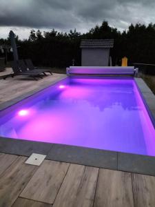 雅莱Trees Fontain的甲板上游泳池,灯光紫色