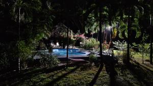 萨玛拉Villas jungle 5的棕榈树庭院内的游泳池
