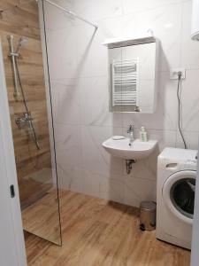 彼得罗瓦拉丁JB Apartment的带淋浴、盥洗盆和洗衣机的浴室