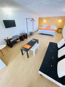 亚伊萨Casa Gercko 3的大型客厅设有床铺和电视。