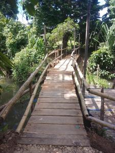 公主港Bambua Nature Cottages的森林中一条河上的木桥