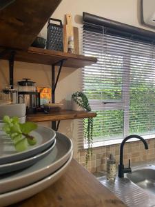 东伦敦The Aloe的一个带板子和水槽的厨房台面和窗户