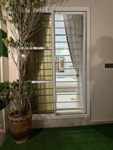 伊斯兰堡Emeralds Villa Islamabad的一间有窗户的房间和盆栽植物