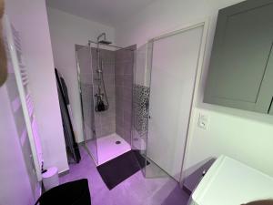 普瓦西Appartement avec son jardin d’hiver的浴室设有玻璃淋浴间和卫生间