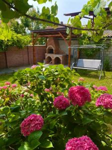 奥尔绍瓦Holiday Home ESKU的花园内种有粉红色的花卉,后方设有椅子
