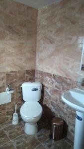 科普里夫什迪察Kъща за гости Демария的一间带卫生间和水槽的浴室