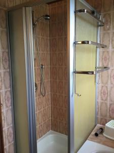 马特塞Haus Schmid Mattsee的浴室里设有玻璃门淋浴