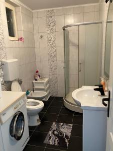 大格拉迪什泰Apartamani Evelin的浴室配有卫生间、盥洗盆和洗衣机。