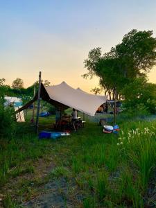 切尔诺莫雷茨Beachfront Caravans - Meadow Camp的帐篷,人坐在帐篷下面的草丛中