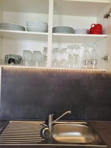 AltenbekenFerienwohnung Fröse的一个带水槽和玻璃架的厨房台面