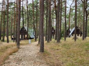 OsiekJak Tu Sielsko的树木林中的一群房子