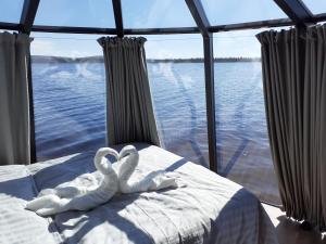 耶利瓦勒Laponia Sky Hut的两个白天鹅坐在船上的床上