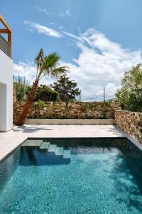 帕罗斯岛Clementina Paros的棕榈树石墙旁边的游泳池