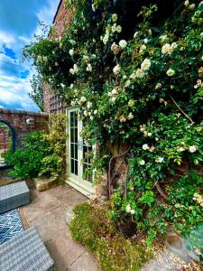 约克Tanyard Cottage - Whixley, York, North Yorkshire的一座带窗户的建筑和玫瑰花丛