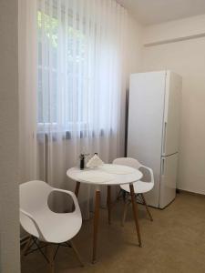 利托梅日采Apartmán Dlouhá 207的厨房配有桌椅和冰箱。