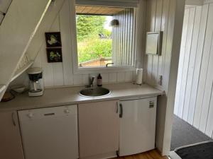 FarsøNice holiday home in beautiful resort的一个带水槽和窗户的小厨房