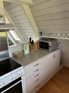 FarsøNice holiday home in beautiful resort的厨房配有炉灶和微波炉。