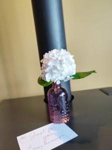 丹马克Karri Mia Chalets and Studios的花瓶,花在桌子上,有纸条