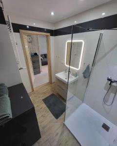 米泽德沃兹Apartament Turkusowy的带淋浴、盥洗盆和镜子的浴室