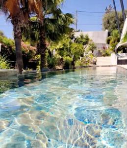 尼斯COTTAGE MARIN avec VUE MER的一座拥有蓝色海水和棕榈树的游泳池