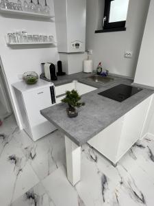 CristeştiIanis Home的厨房配有白色橱柜和大理石台面