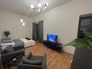 皮耶什佳尼Apartment YELLOW ROSE, Perfect Location with Free Parking, 24h Checkin & Balcony的一间带床和电视的客厅