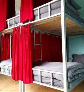 大叻Hugo's Family的配有红色窗帘的客房内的两张双层床