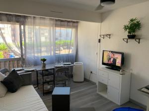 勒格罗-迪鲁瓦Joli studio proche de la plage的客厅配有沙发和带电视的桌子