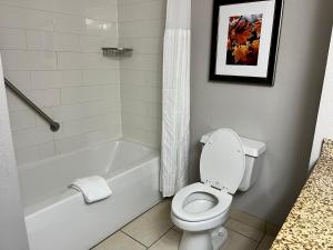布兰森The Branson Hillside Hotel的浴室配有白色浴缸、卫生间和水槽。