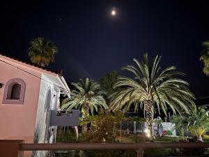 奥雷伊7连7公寓式酒店的棕榈树和大楼的夜间景色