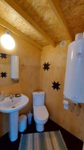LiivaIntsu Royal Kadakametsa Glämp的一间带卫生间和水槽的浴室