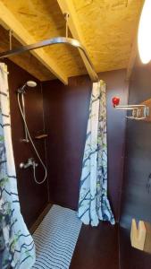 LiivaIntsu Royal Kadakametsa Glämp的带淋浴和浴帘的浴室